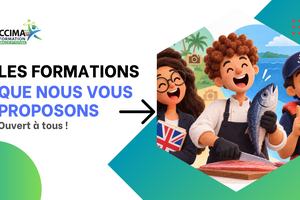 Formation presentation carousel