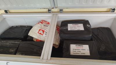 IMG-20250213-WA0001