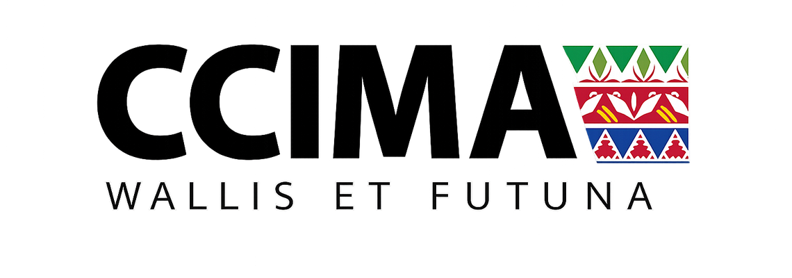 LOGO CCIMA SANS FOND BLANC