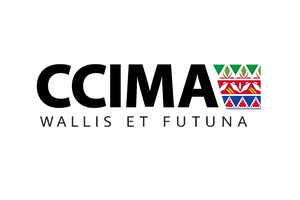 LOGO CCIMA SANS FOND BLANC