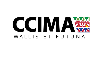 LOGO CCIMA SANS FOND BLANC