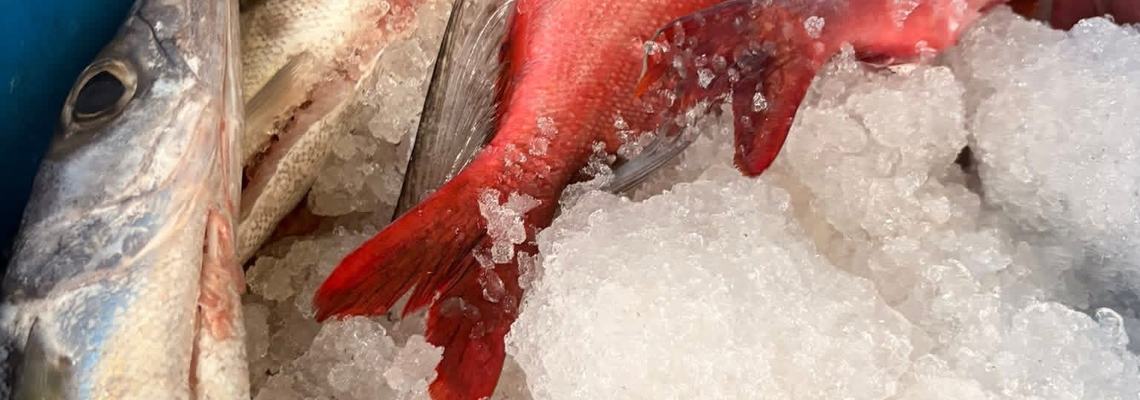 POISSONS