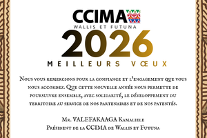VOEUX_2026