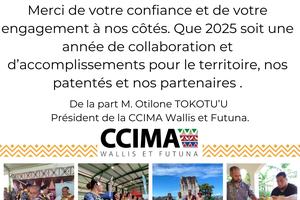 carte_de_voeux