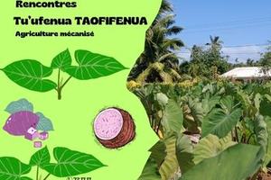 image_principale_tuufenua_taofifenua350_x_300_px