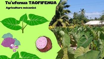 image_principale_tuufenua_taofifenua350_x_300_px