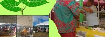 marché_du_taro_image_principal_site_web350_x_300_px