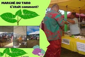 marché_du_taro_image_principal_site_web350_x_300_px