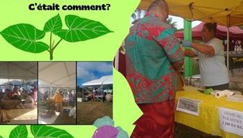 marché_du_taro_image_principal_site_web350_x_300_px